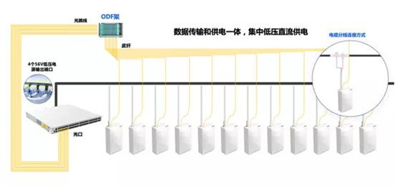 1625811533323666.jpg 圖片5.jpg