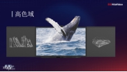wps5.jpg